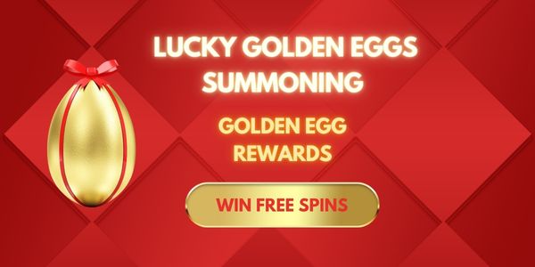 BigWi Live Casino Experience